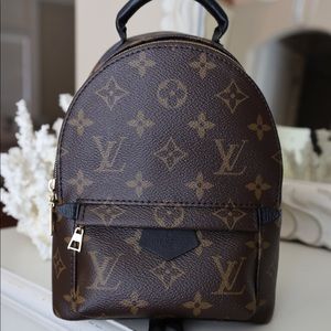 Louis Vuitton Palm Springs Mini Backpack